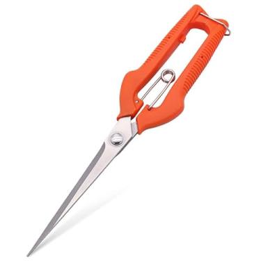 Imagem de Tesoura de uva, tesoura de poda, ferramenta de jardim, remendo de legumes, bonsai, marcenaria profissional, aço inoxidável, colheita de frutas com trava