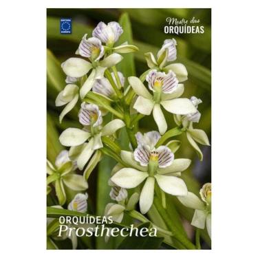 Imagem de Orquídeas Prosthechea - Mestre Das Orquídeas - Volume 30