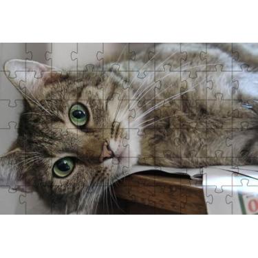 Imagem de Kit 2 Quebra-Cabeça Inclusivos Gatos Espertos Em 60 Peças - Coleção Te