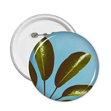 Imagem de Céu Azul Folha Planta Imagem Natureza Alfinetes Emblema Botão Decoração Acessório 5 peças