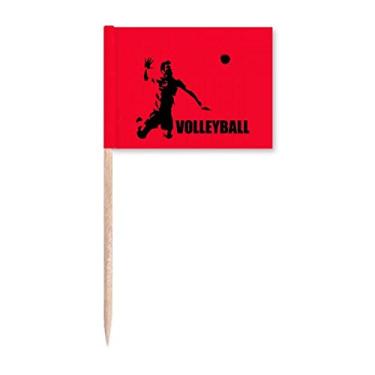 Imagem de American Sports Voleibol Bandeira palito de dente Marcador Topper Decoração de festa