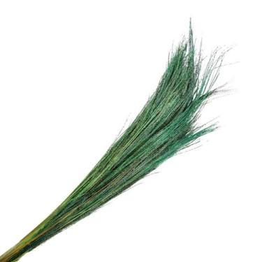 Imagem de Capim Fio De Ouro Desidratado - Verde - Pense Flores