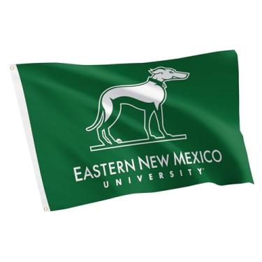 Imagem de Desert Cactus Bandeira ENMU da Universidade Oriental do Novo México - Faixa de galgos de 9,5 x 1,5 m, tecido durável interno/externo, design 100% poliéster (estilo B)
