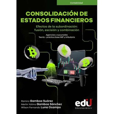 Imagem de Consolidación de estados financieros - Espanhol