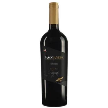Imagem de Vinho Tinto Paso de Los Andes Carmenere 750 ml