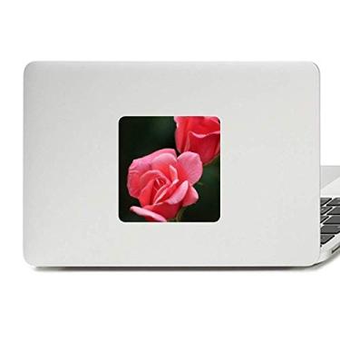Imagem de Adesivo de vinil para laptop com rosas rosas rosas vermelhas rosa decoração de policarbonato