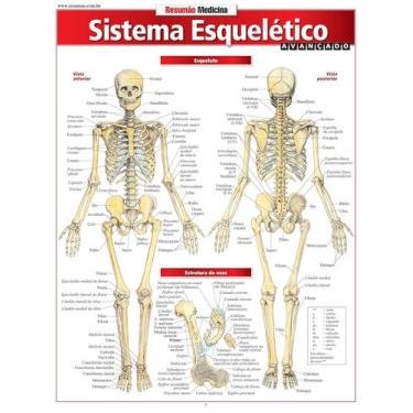 Imagem de Resumao - Sistema Esqueletico Avancado - Barros, Fischer E Associados