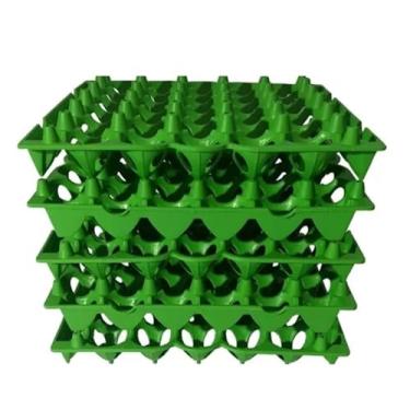 Imagem de Kit 5 Porta Ovos P/30 ovos Bandeja Higiênica Cartela Plástica (Verde)