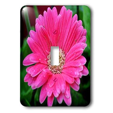 Imagem de 3dRose Interruptor de alternância de margarida Gerbera rosa com gotas de chuva lsp_24959_1, multicolorido