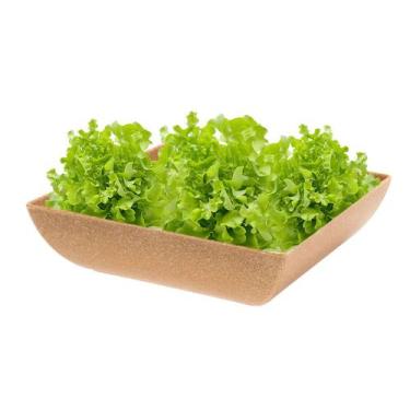 Imagem de Saladeira Quadrada 1,4 Lt Travessa Petisqueira Marrom Claro - Evo