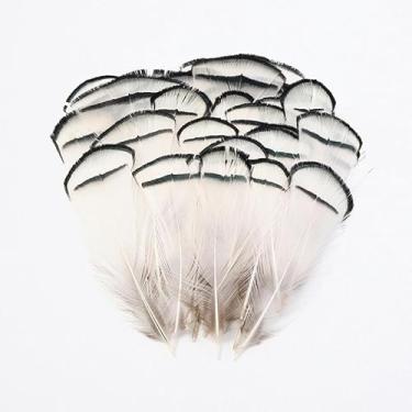 Imagem de 50 Enfeites De Penas, Acessórios De Penas De Faisão, Acessórios De Orelha, Decoração De Roupas, Design Artesanal E Materiais De Produção Penas De Artesanato, Red Head Piece 3-7cm