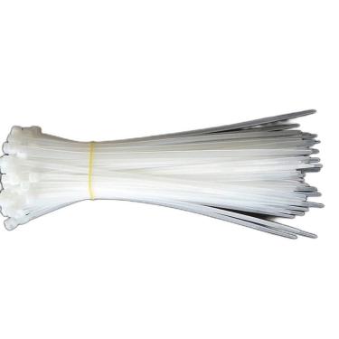 Imagem de Abraçadeira Nylon Enforca Gato 2,5X150Mm 100Un Tradestar Bco