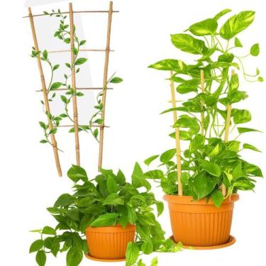 Imagem de Tutor Estacas de Bambu Tutor de Bambu Natural Treliça para Crescimento