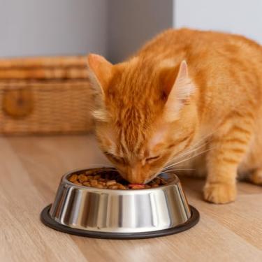 Imagem de Comedouro de Inox Antiderrapante (1Litro), para Cães e Gatos – Durável, Higiênico e Super Prático!