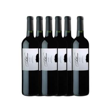 Imagem de Vinho Argentino Bodega Sottano Malbec - Caixa com 6 garrafas
