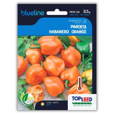Imagem de TOPSEED, Semente de Pimenta Habanero Orange Blueline TOPSEED