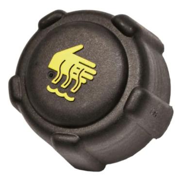 Imagem de Tampa Reservatorio Agua Radiador CLIO 2006 á 2016 / CAPTUR 2017 á 2023 / DUSTER 2011 á 2024