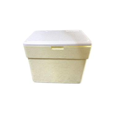 Imagem de Caixa Térmica Isopor 8 Litros Gelo Cerveja Refri Isoterm - Genérica