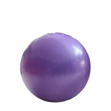 Imagem de Bola de Pilates e Fisioterapia Grande Profissional Anti-Explosão(55cm-Aleatorio)