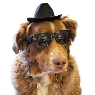 Imagem de C17 Conjunto de óculos de sol retrô para cães de estimação + chapéu Fedora ajustável para raças médias, aproximadamente 8 a 18 kg, acessório de festa, cosplay, sessão de fotos (preto dos anos 80 +