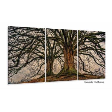 Imagem de Conjunto Quadros 3 Peças Árvore Raiz decorativo Sala Quarto