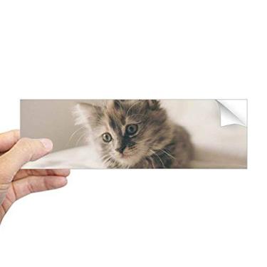 Imagem de DIYthinker Adesivo retangular com foto de gato cinza animal gatinho adesivo para janela notebook