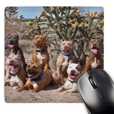 Imagem de 3dRose Mouse pad LLC 20 x 20 x 0,63 cm, cacto de cães Pitt Bull Terrier, Zandria Muench Beraldo (mp_93017_1)