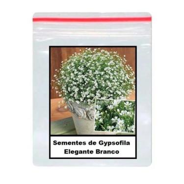 Imagem de 50 Sementes de Gypsofila Elegante Branco - ISLA