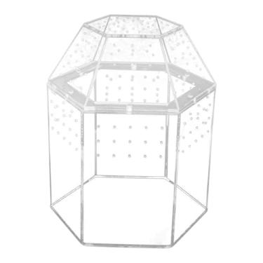 Imagem de Fenteer Terrário para aranha-saltadora, tanque transparente de acrílico para répteis, caixa para aquário, gaiola para tarântulas, louva-a- e