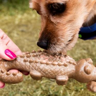 Imagem de Brinquedo Mordedor Jacaré para Cães, Material Plástico Resistente, Aromatizante de Carne, Dispensador de Petiscos, Tamanho Médio, Brinquedo Interativo para Treinamento