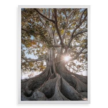 Imagem de Quadro Decorativo Raízes - Árvore 45X34Cm - Com Vidro