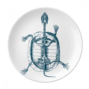 Imagem de Prato de sobremesa de desenho esqueleto de tartaruga animal decorativo de porcelana 20,32 cm para jantar em casa