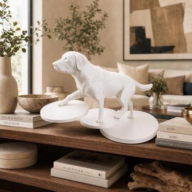 Imagem de Escultura Cachorro ou Gato Equilibrado  Decoração Moderna e Criativa p