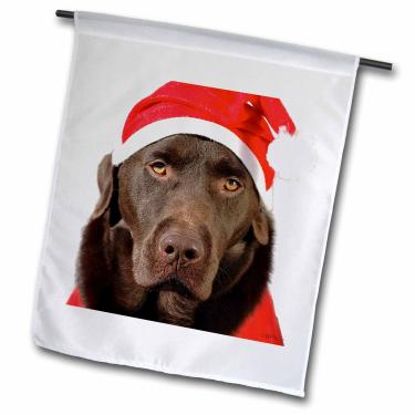 Imagem de 3dRose fl_45551_1"Labrador Dog Dressed As Santa Claus Face Closeup On White Background Garden Flag, 30 x 45
