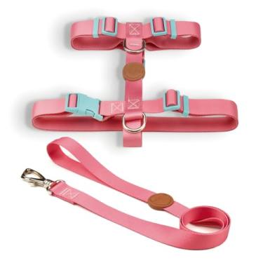 Imagem de Coleira Peitoral H e Guia para Cachorro Fita Premium 100% Poliéster Fecho Resistente(Fiji,G)