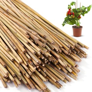 Imagem de Suclain Estacas de bambu para plantas de suporte para plantas em varas de jardim internas e externas para tomate, feijão, flores, árvores em vasos e suporte de escalada (300 peças, 600 pés)