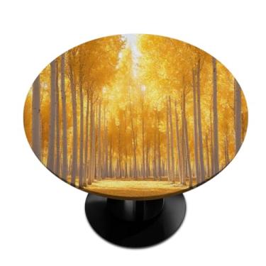 Imagem de hongjinglin Toalha de mesa redonda com borda elástica dourada floresta de outono toalha de mesa redonda limpa para decoração de cozinha de 101 a 111 cm