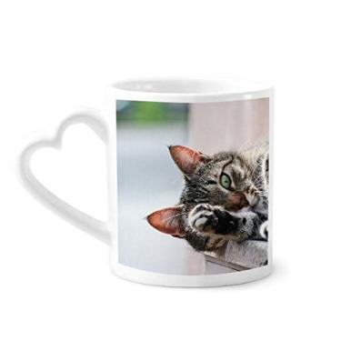Imagem de Caneca com foto de gato de atividade animal caneca de café cerâmica copo de coração de vidro