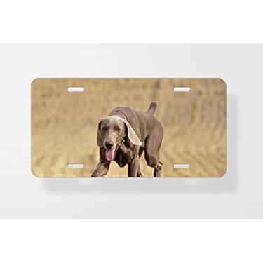 Imagem de Capa para placa de carro Weimaraner 1 – Capa para placa de carro – Capa para moldura da placa de carro 15 x 30 cm