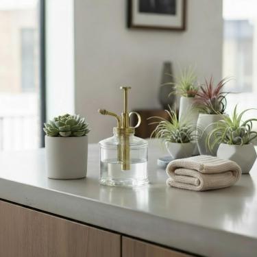 Imagem de Purism Style Plant Mister - Garrafa de vidro de cor clara e pulverizador de latão (ouro fosco)