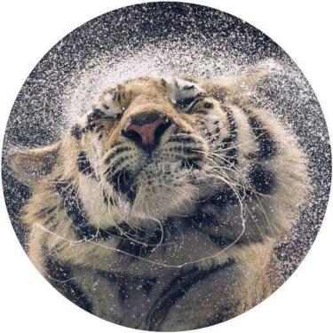 Imagem de Capa De Estepe Ecosport Crossfox Aircross Tigre Molhado