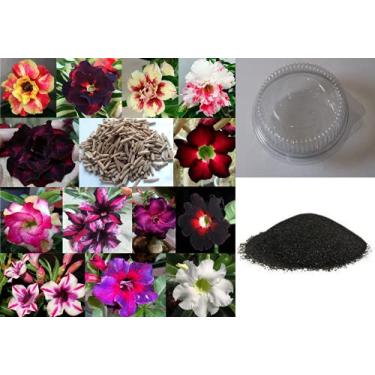 Imagem de Kit de 10 Sementes de Rosas do Deserto triplas, duplas e simples + Mini Estufa + Substrato (ideal para iniciantes)