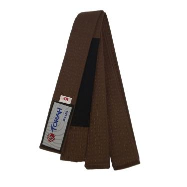 Imagem de Faixa Torah Plus com Ponta