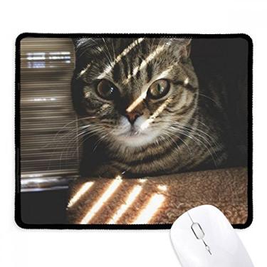 Imagem de Mousepad com fotografia de raia de gato com borda costurada, tapete de borracha para jogos