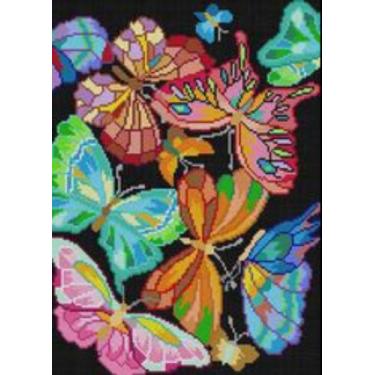 Imagem de Kit De Bordar Em Talagarça Completo: Tela Pintada + Lã + Agulha  +  Ma