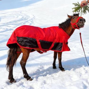 Imagem de Cobertor para cavalos minicavalos/pônei/potro/miniatura1600 Denier Horse Turnout, lençol para cuidados com cavalos, impermeável e respirável (enchimento de 220 g)