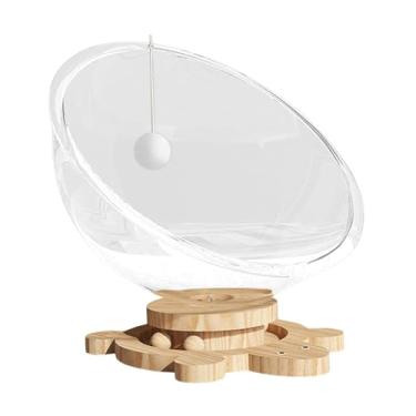 Imagem de WeiLaiKeQi Cama para gato com cápsula transparente, para dormir, móveis para gatos, rede estável para animais de estimação, para brincar, gatinhos dormindo, XL