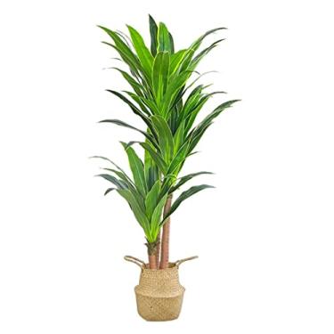 Imagem de SLGGPJBU Plantas falsas planta artificial árvore tropical artificial em vaso planta artificial árvore para casa jardim escritório interior e exterior decoração moderna plantas artificiais interior