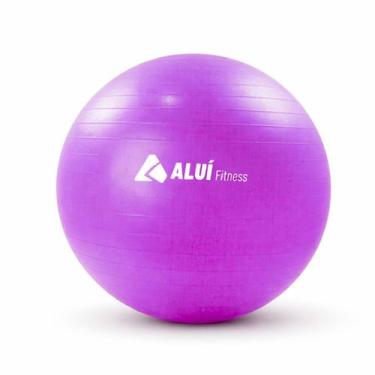 Imagem de Bola de Exercícios Pilates Yoga Gym 55cm Aluí Fitness Bomba Manual Enc