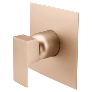 Imagem de Acabamento para Base Monocomando Fani Retta Champagne  520 CH330